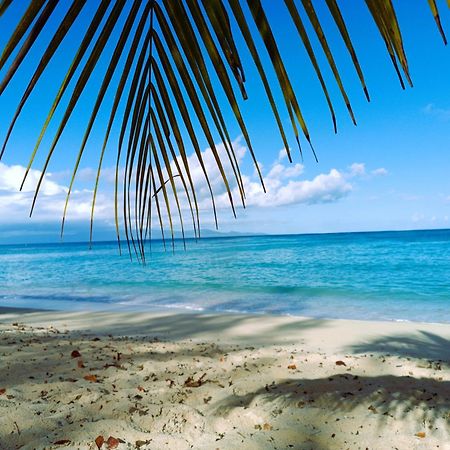 Kaz A Klemence Gite Creole Avec Piscine Et Table Dhotes A Anse Bertrand Exterior foto