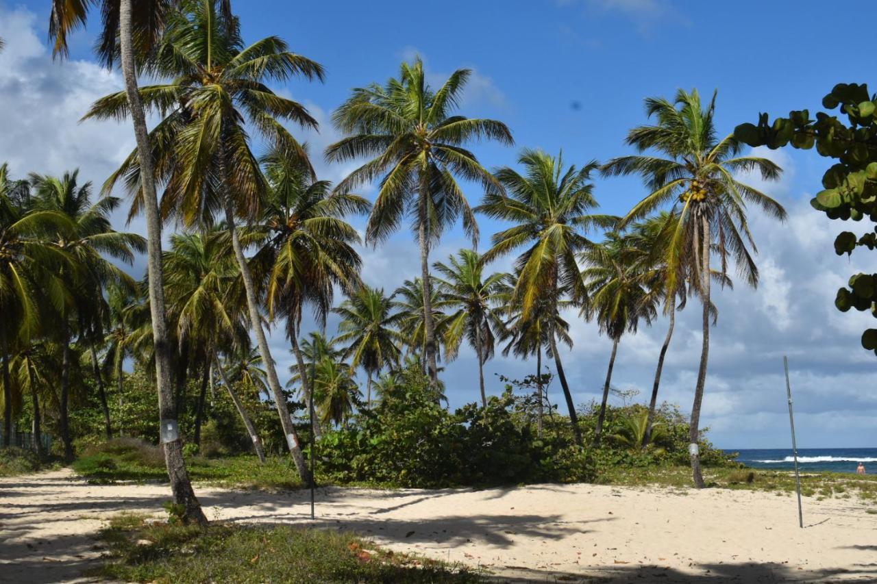 Kaz A Klemence Gite Creole Avec Piscine Et Table Dhotes A Anse Bertrand Exterior foto
