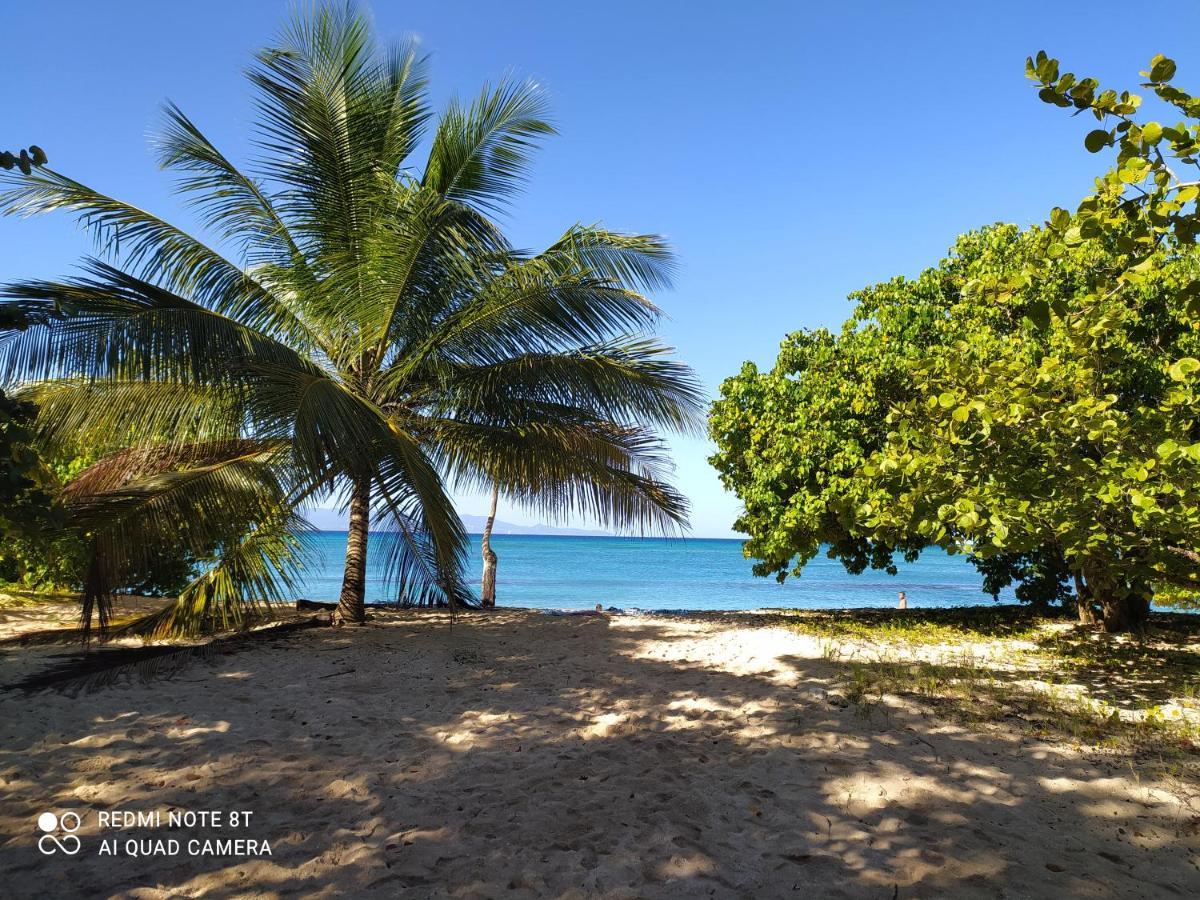 Kaz A Klemence Gite Creole Avec Piscine Et Table Dhotes A Anse Bertrand Exterior foto
