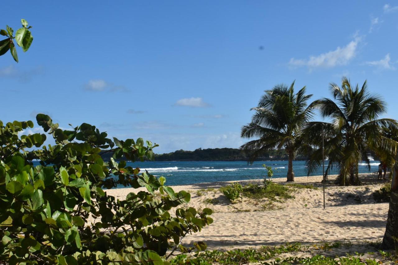 Kaz A Klemence Gite Creole Avec Piscine Et Table Dhotes A Anse Bertrand Exterior foto