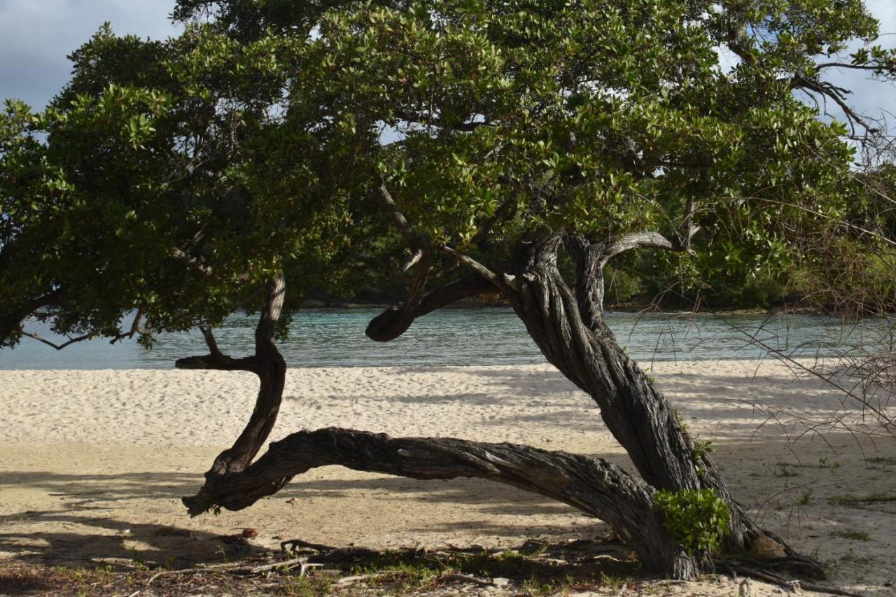 Kaz A Klemence Gite Creole Avec Piscine Et Table Dhotes A Anse Bertrand Exterior foto