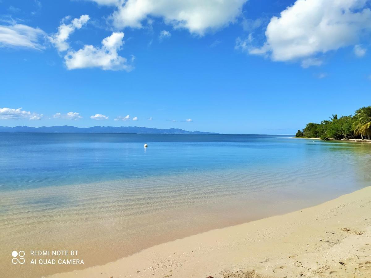Kaz A Klemence Gite Creole Avec Piscine Et Table Dhotes A Anse Bertrand Exterior foto