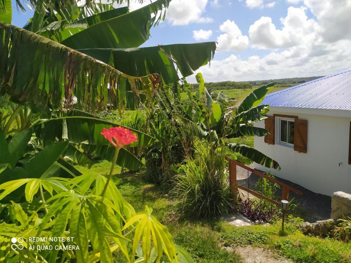Kaz A Klemence Gite Creole Avec Piscine Et Table Dhotes A Anse Bertrand Exterior foto