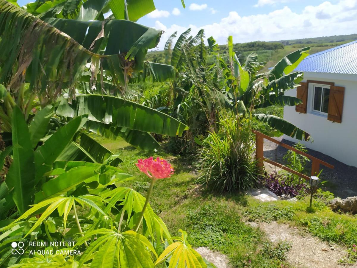 Kaz A Klemence Gite Creole Avec Piscine Et Table Dhotes A Anse Bertrand Exterior foto