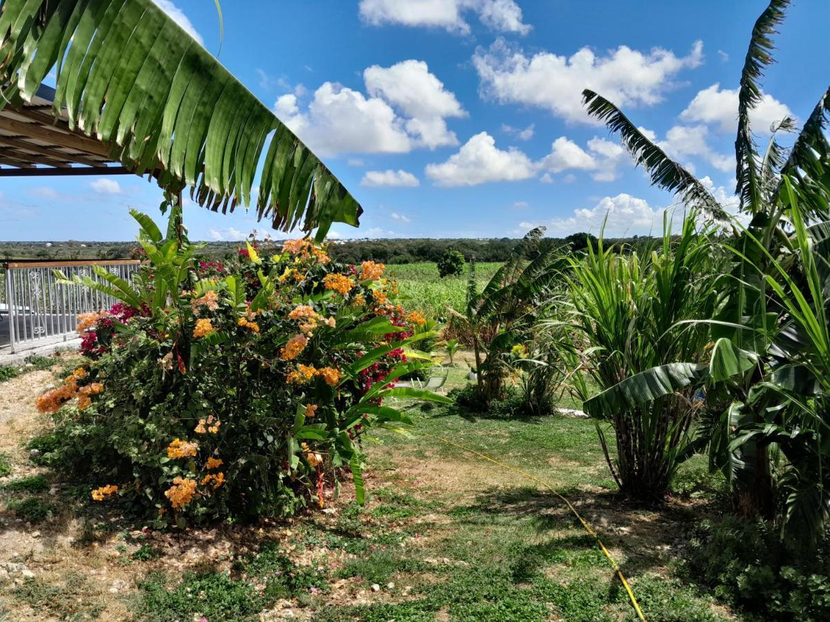 Kaz A Klemence Gite Creole Avec Piscine Et Table Dhotes A Anse Bertrand Exterior foto