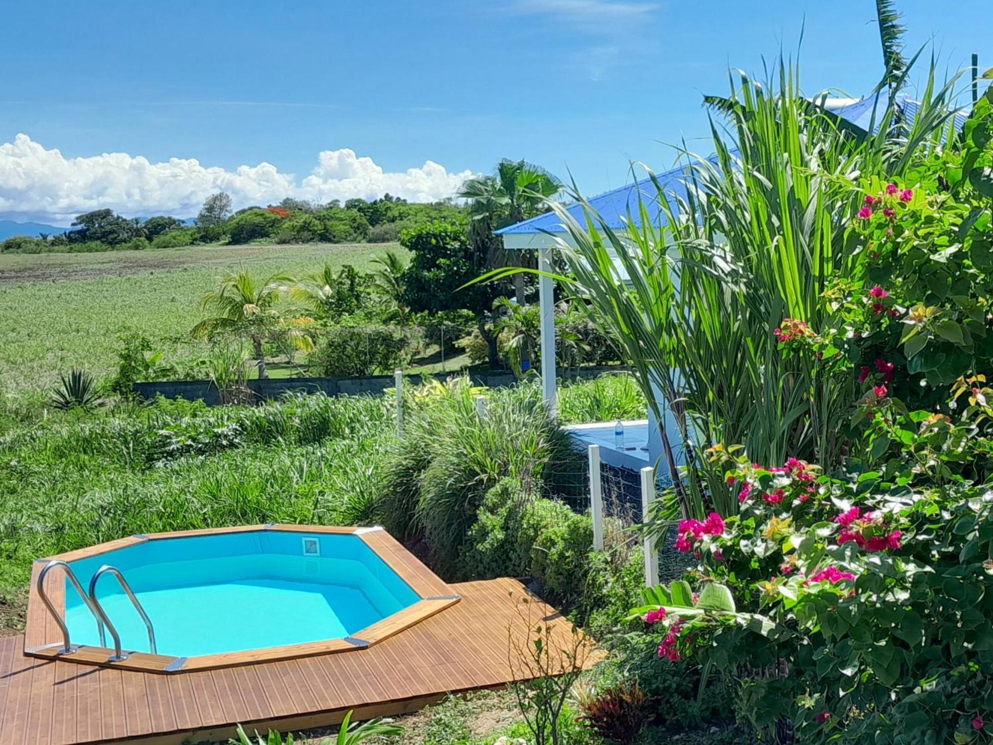Kaz A Klemence Gite Creole Avec Piscine Et Table Dhotes A Anse Bertrand Exterior foto