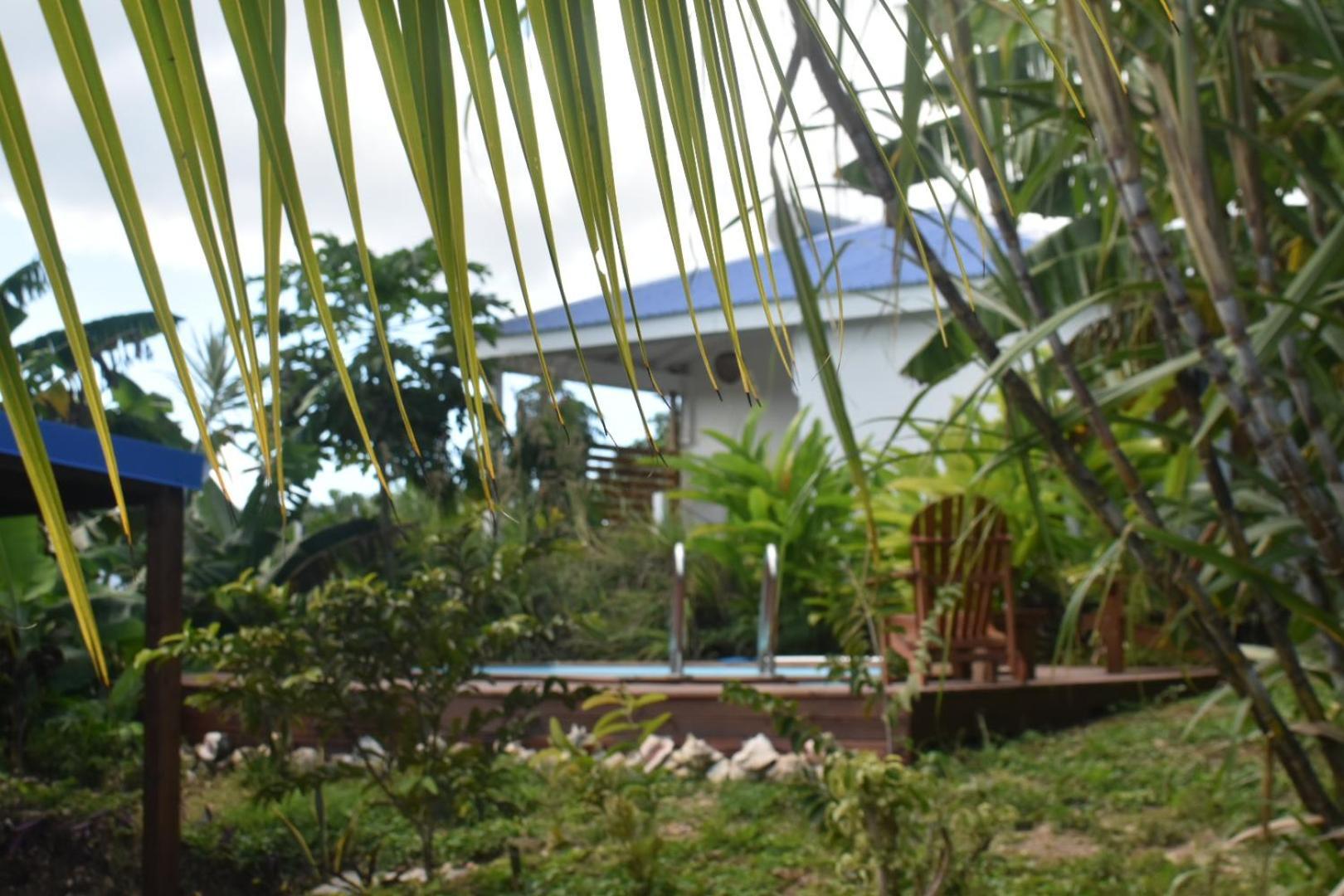 Kaz A Klemence Gite Creole Avec Piscine Et Table Dhotes A Anse Bertrand Exterior foto
