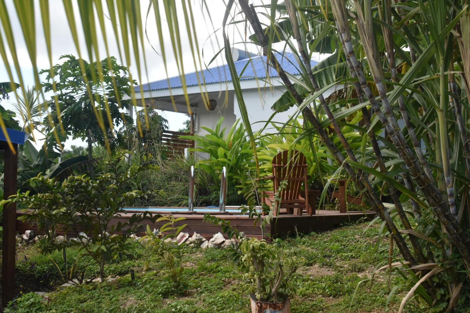 Kaz A Klemence Gite Creole Avec Piscine Et Table Dhotes A Anse Bertrand Exterior foto