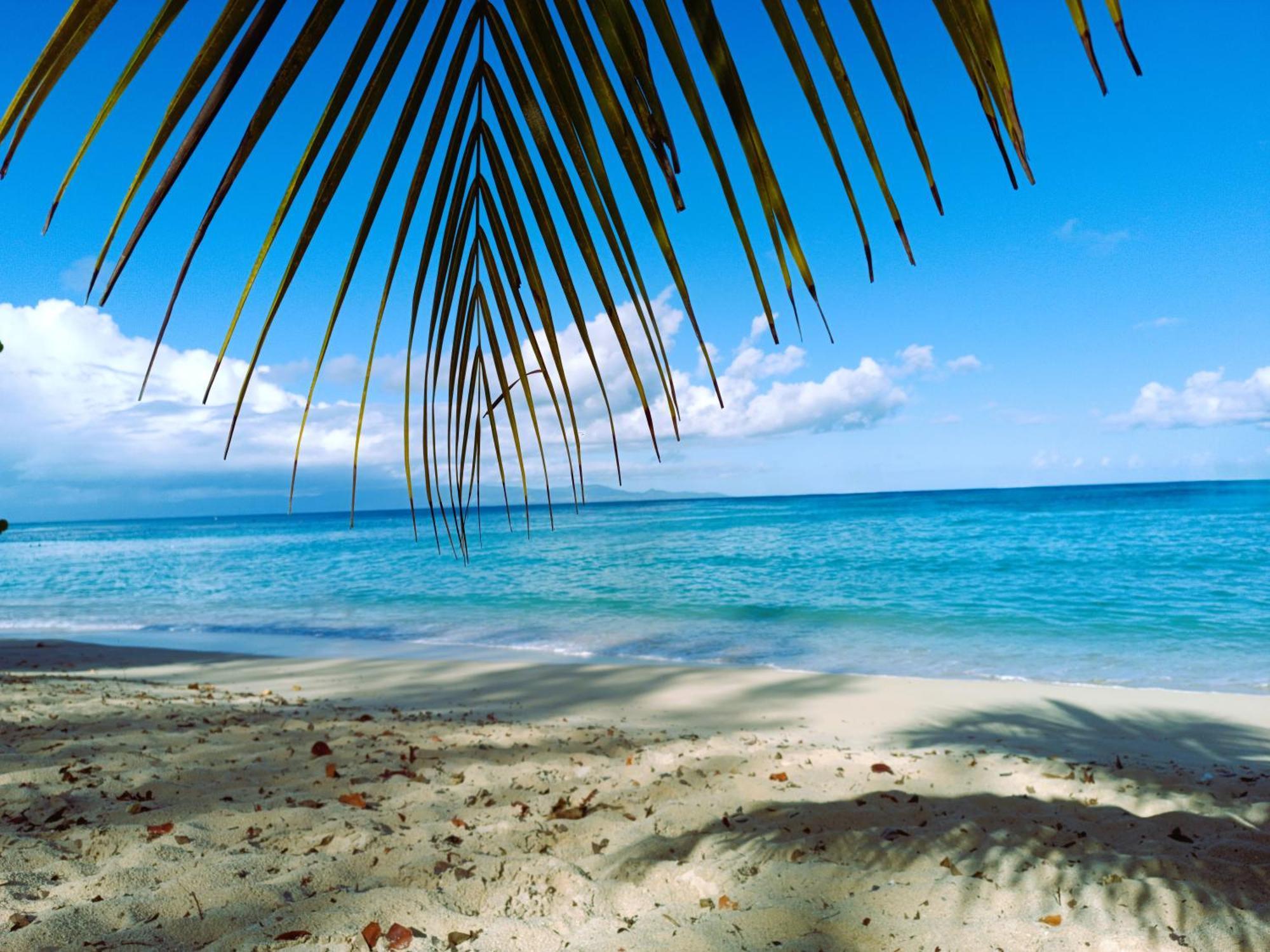 Kaz A Klemence Gite Creole Avec Piscine Et Table Dhotes A Anse Bertrand Exterior foto